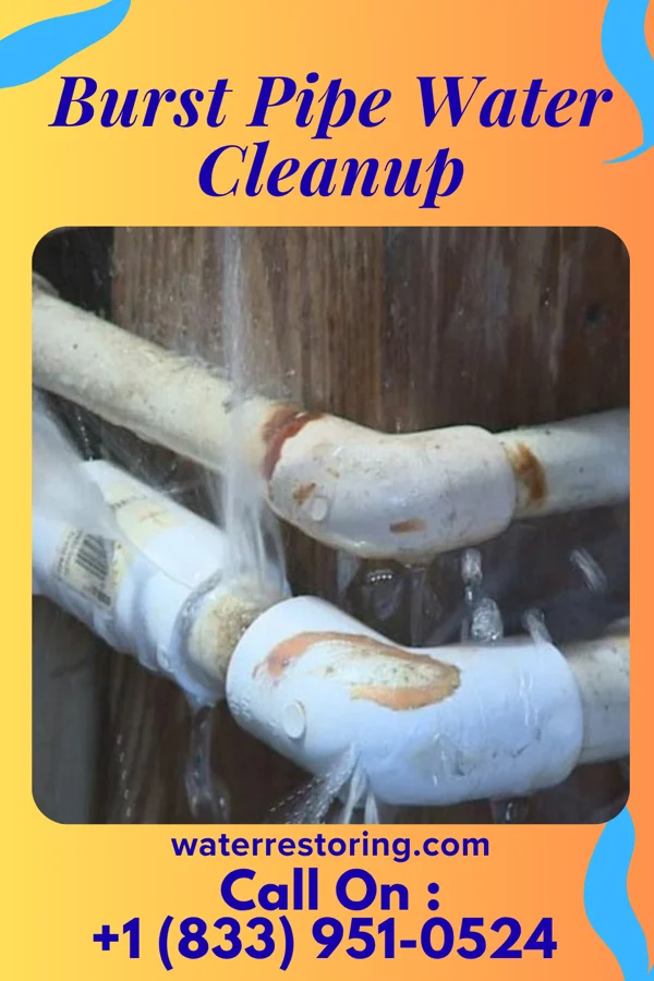 Burst Pipe Water Cleanup in Canonsburg, PA