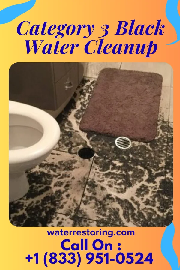 Category 3 Black Water Cleanup in Canonsburg, PA