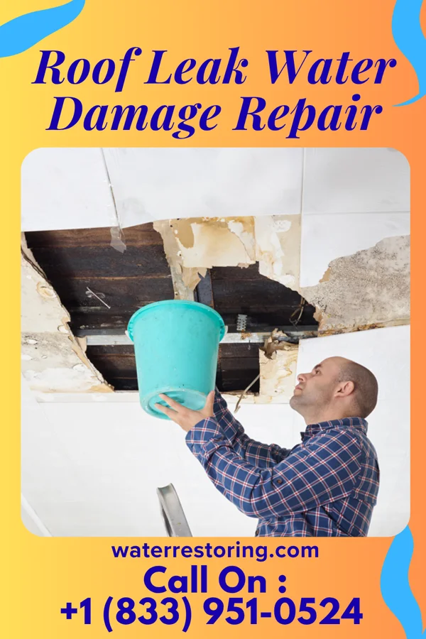 Roof Leak Water Damage Repair in Canonsburg, PA
