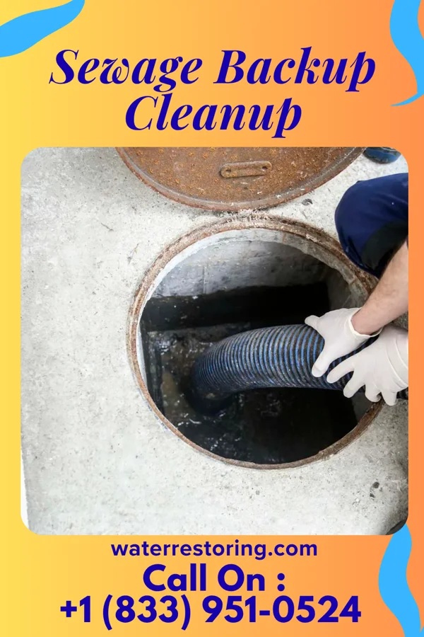 Sewage Backup Cleanup in Canonsburg, PA