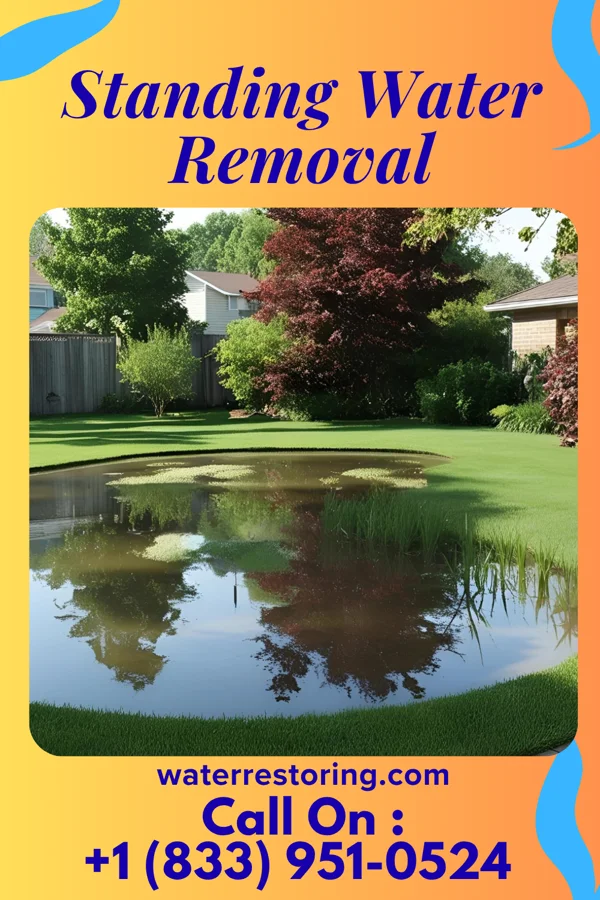 Standing Water Removal in Canonsburg, PA